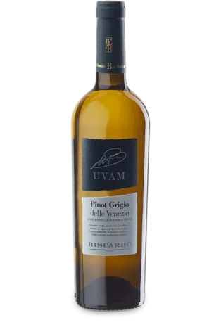 Pinot Grigio delle Venezie Uvam