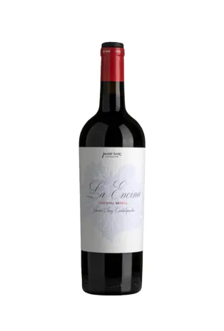 Bodegas Javier Sanz Paraje ’La Encina’ Bruñal 