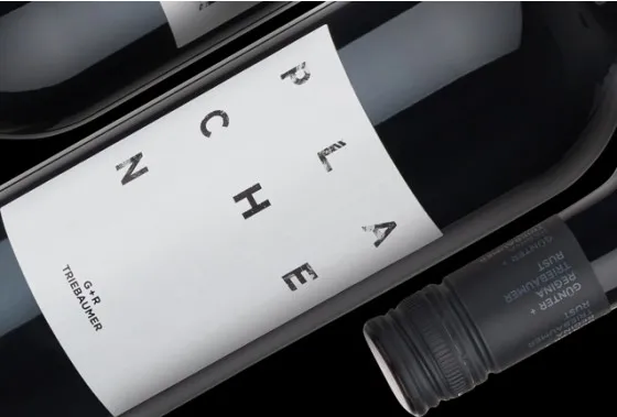 Weingut Triebaumer “Ried Plachen” Blaufränkisch, DAC Burgenland Østrig