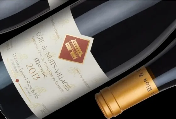 Rion Cote de Nuits Village