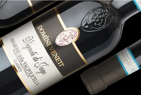 Domini Veneti Amarone Classico 'Vigneti di Jago'