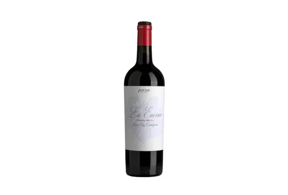 Bodegas Javier Sanz Paraje ’La Encina’ Bruñal 