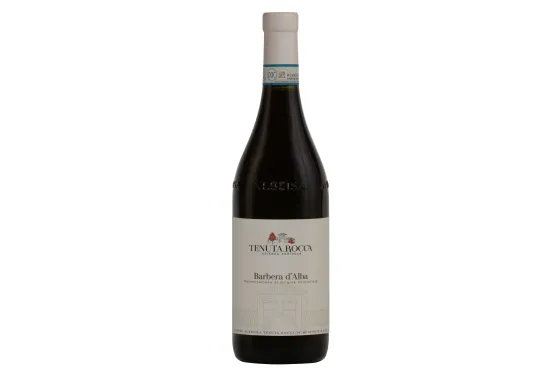 Tenuta Rocca Økologisk Barbera d’Alba DOC 
