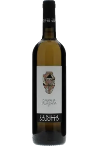 Falanghina, Tenuta Scuotto