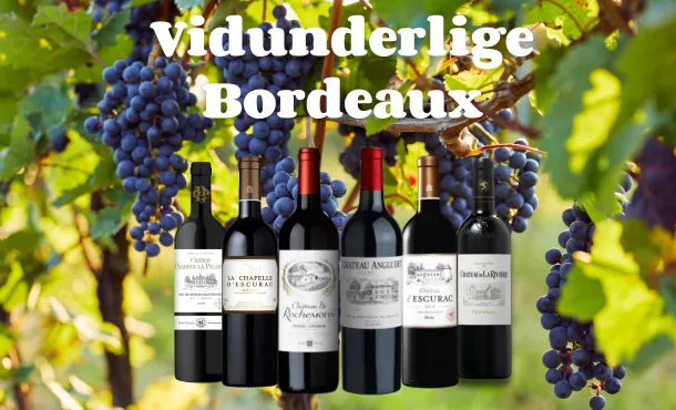 Vidunderlige Bordeaux Hvid januar